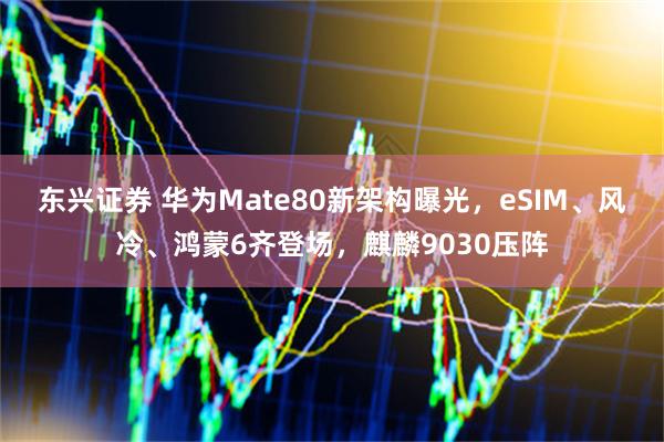 东兴证券 华为Mate80新架构曝光，eSIM、风冷、鸿蒙6齐登场，麒麟9030压阵