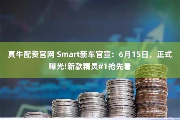 真牛配资官网 Smart新车官宣：6月15日，正式曝光!新款精灵#1抢先看