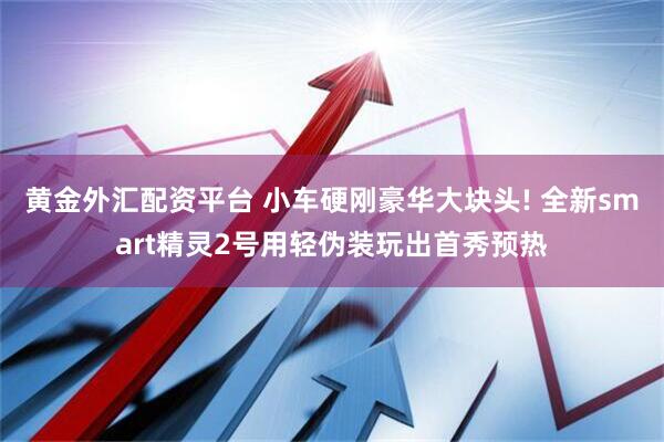 黄金外汇配资平台 小车硬刚豪华大块头! 全新smart精灵2号用轻伪装玩出首秀预热